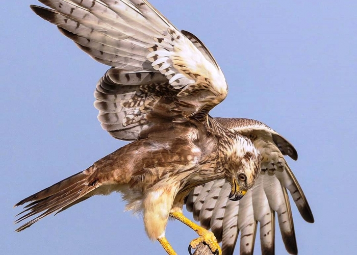 Diversity of Moroccan Landscapes and Birdwatching with Kehar